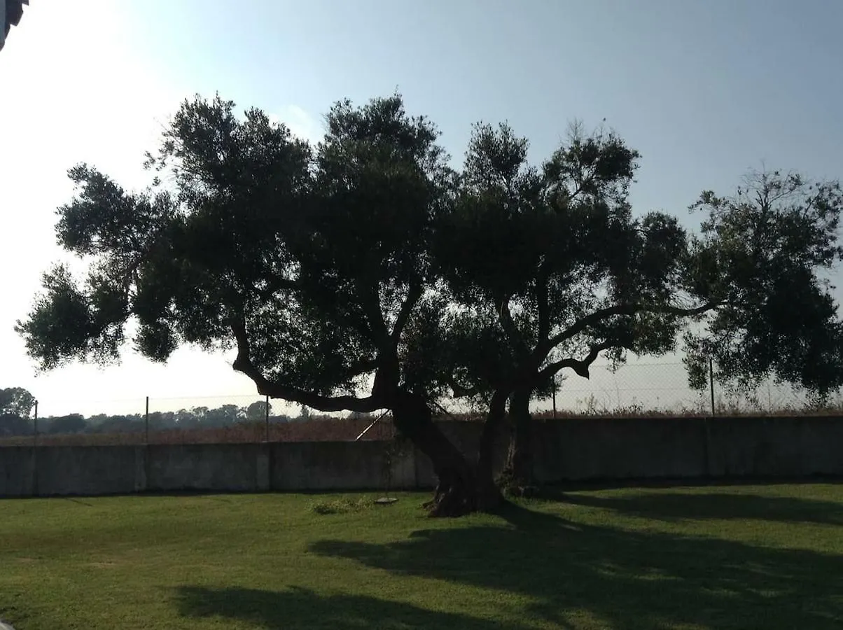 La Veguilla Bidea Villa Chiclana de la Frontera